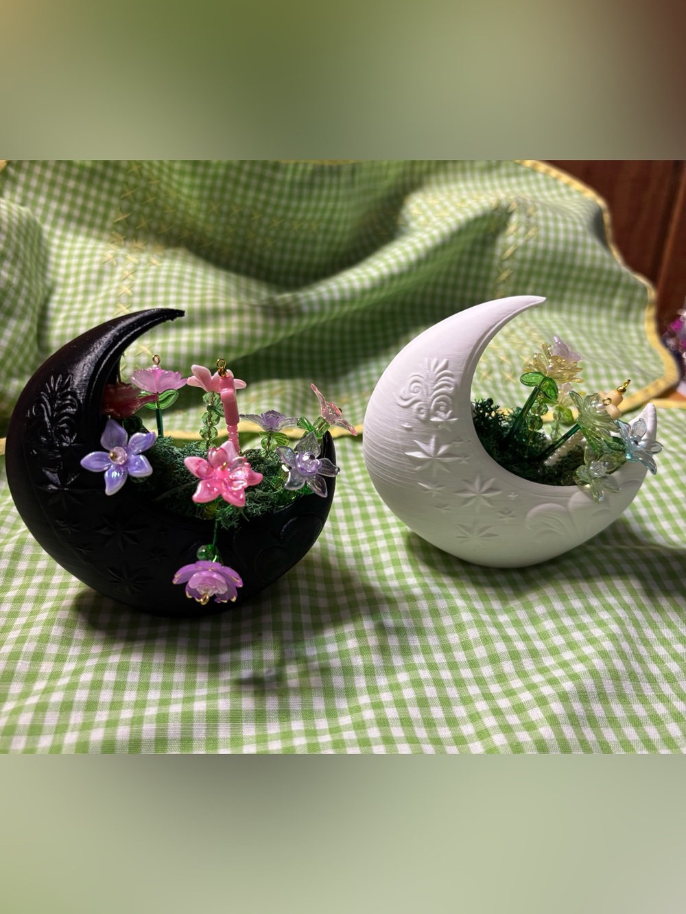 Crescent Moon Forever plants set of two - Black and White Set